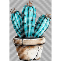 Country music-CM-1233